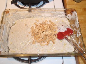 Adding Cashews to Marinade