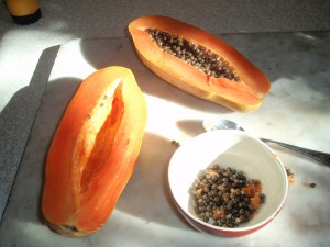 Papaya-Avocado Salad