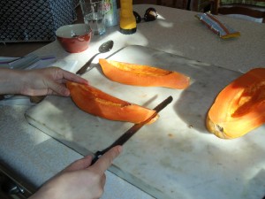 Papaya-Avocado Salad