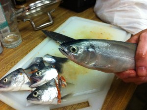 Preparing the Trout